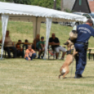 4. Kéklámpás Nap (Fotó: Horváth Attila)