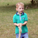 Pillangó Óvoda lovas nap és piknik (Fotó: Stipkovits Veronika)