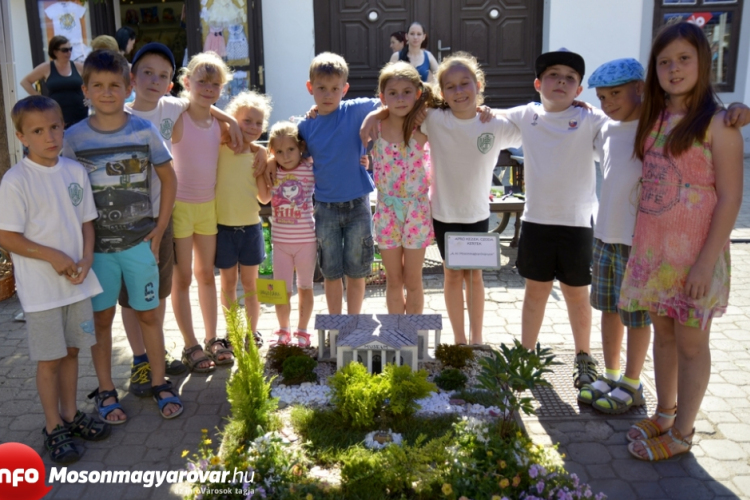 Apró kezek-Csodakertek - Június 20-ig lehet szavazni...