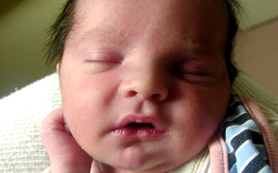 Tasnádi Zétény-Móvár