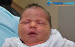 Lóth Kiara, 3630 gr. Csorna