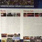 Dan Hrvata, Horvát Nap