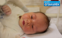 Prókai Anna, Mosonmagyaróvár