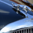 16. Pannonia-Carnuntum Historic Rallye