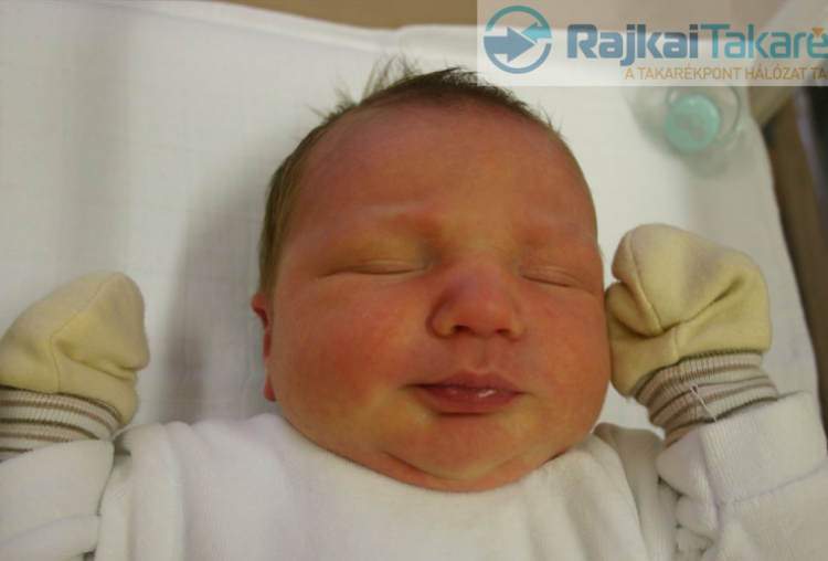 Bóna Gergő, Csorna