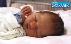 Tóth Noel, Halászi