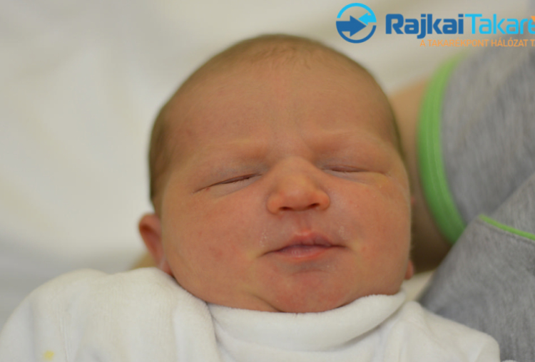 Fűzfa-Borka Panna, 3450 gr. Móvár