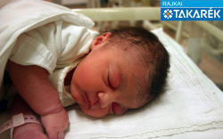 Molnos Inez Maissane, Ásványráró