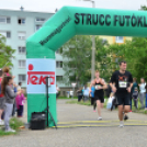 XII. Greiner Szigetköz Minimaraton (Fotó: Horváth Attila)