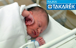 Vida Szabolcs, Mosonmagyaróvár