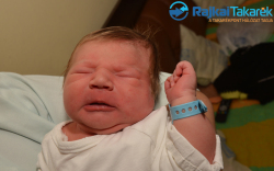 Kiss Baranyi Belián, 3980 gr. Mosonudvar