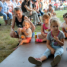 Szigetköz ízei, Vármegye borai Fesztivál 1. nap (Fotó: Bánhegyi István)