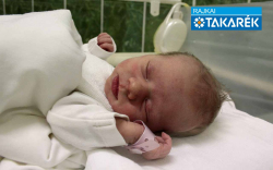 Szécsényi Róza, Hegyeshalom