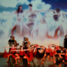 FlexArt Dance (Fotó: Stipkovits Veronika és Bánhegyi István)