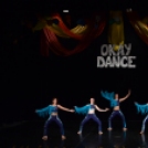 Okay Dance Gála 2015 II.