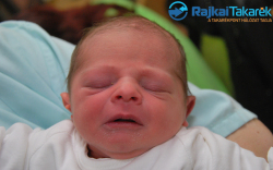 Frenner Dominik Noel, 3100 gr. Halászi