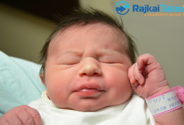 Vargyai Ágnes Ilona, 3100 gr. Kisbodak