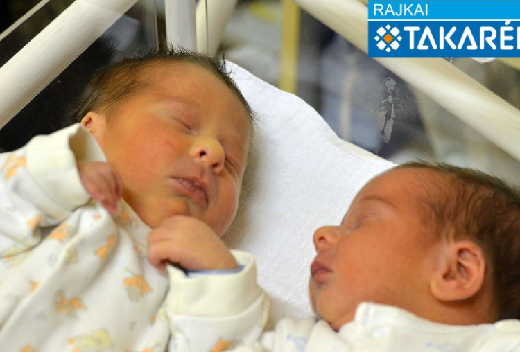 Gál Noel és Gál Máté, Mosonszolnok