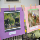 Kult-utca fesztivál (Fotó: Nagy Mária)