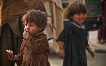   Adományszámla – Beregszász javára