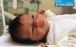 Szabó Laura Nóra, Jánossomorja