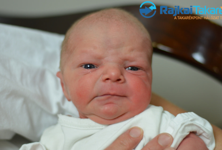 Bayer Dávid, 2400 gr. Mosonmagyaróvár