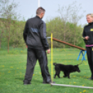 Agility - Hobby Kutyások részére (Fotó: Nagy Mária)