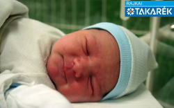 Horváth Zalán, Mosonmagyaróvár