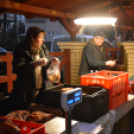 Karácsonyi piac (Fotó: Nagy Mária)