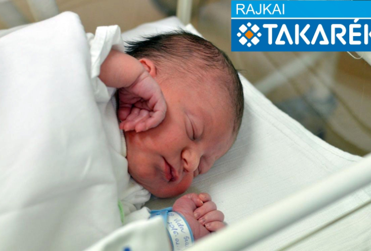 Vida Szabolcs, Mosonmagyaróvár