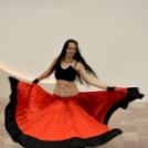 XVII. Mosonmagyaróvári Civil Nap