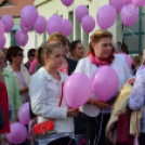 Lajta hídi séta 2015 (fotó: Patács Judit)