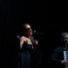 Friss Fesztivál 2013.