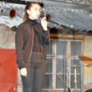 Greiner-Malom Piknik Jazz és Gourmet fesztivál (Fotó: Bánhegyi István)