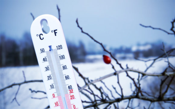 Figyelmeztető előrejelzés