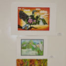 Szigetközi tájak és hangulatok