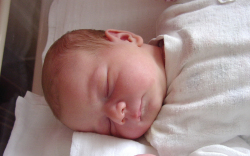 Sándor Jázmin Katalin-Jánossomorja