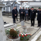 2015. MÁRCIUS 15. Mosonmagyaróvár (Fotó: Horváth Attila)