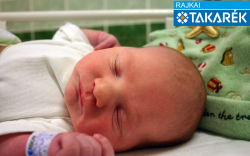 Mesterházi Barnabás, Dunasziget