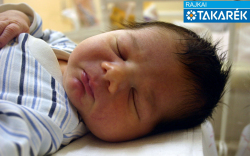 Szalai Márk Patrik, Ásványráró