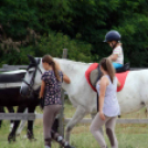 Pillangó Óvoda lovas nap és piknik (Fotó: Stipkovits Veronika)