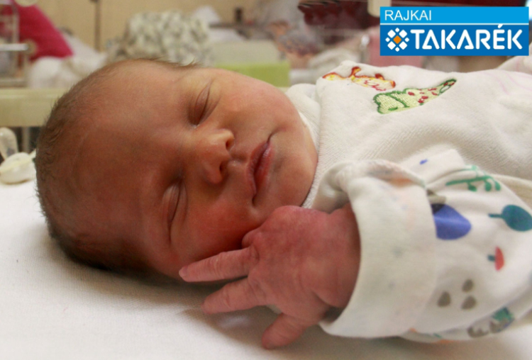 Gerencsér Bogi, Kapuvár