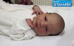 Tonomár Dorka, Darnózseli