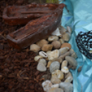 VI. Apró kezek, Csodakertek Gyermek Kertépítő verseny (Fotó: Bánhegyi István)