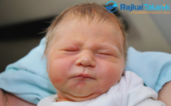 Bugár Ádám, 3800 gr. Halászi