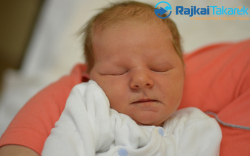 Kovács Kristóf, 3667 gr. Dunaszeg