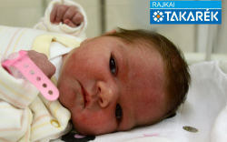 Völgyi Vanda, Hegyeshalom