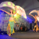 VÁROSKÖZPONTIAK NAPJA 2016, 1 nap (Fotó: Bánhegyi István)