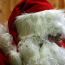 Pillangó Óvoda és Családi Napközi, Mikulás ünnepség (fotó: Stipkovits Veronika)