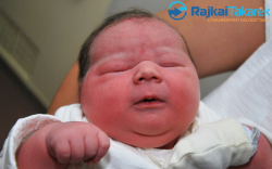 Tóth Boglárka, 4010 gr. Halászi-Arak